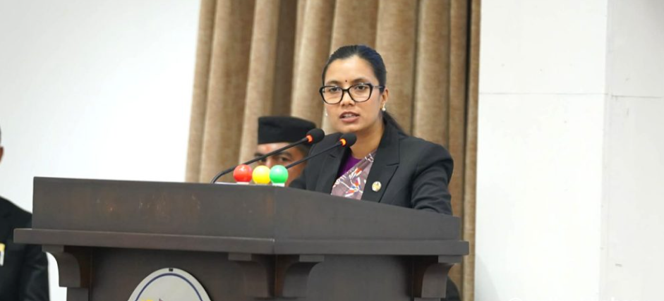 सार्वजनिक खरिद अध्यादेश प्रतिनिधिसभाबाट स्वीकृत, प्रतिस्थापन विधेयक ल्याउने बाटो खुल्यो