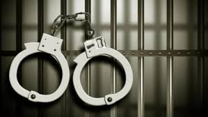 सर्लाहीमा स्रोत नखुलेको ८ लाखसहित दुई जना पक्राउ